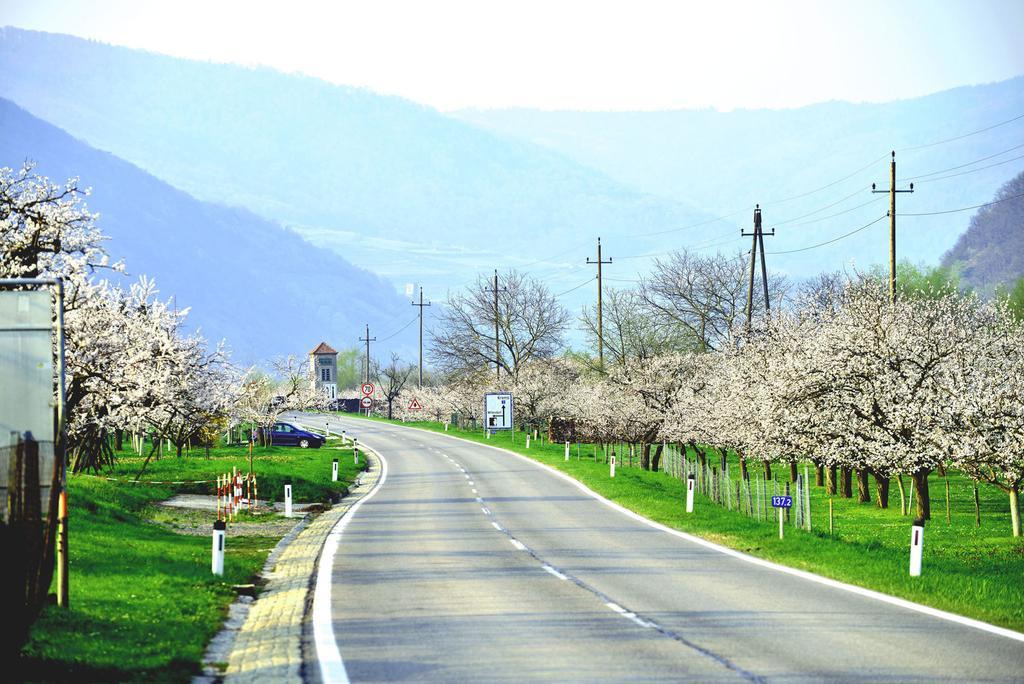 Aggsbach兰德瓦豪旅馆公寓 外观 照片